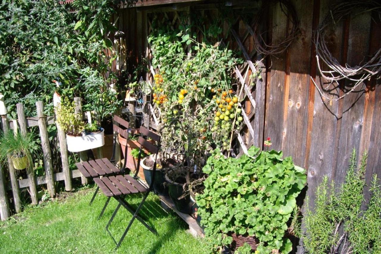 Apartmenthaus Fuerstenzeche Lam Esterno foto